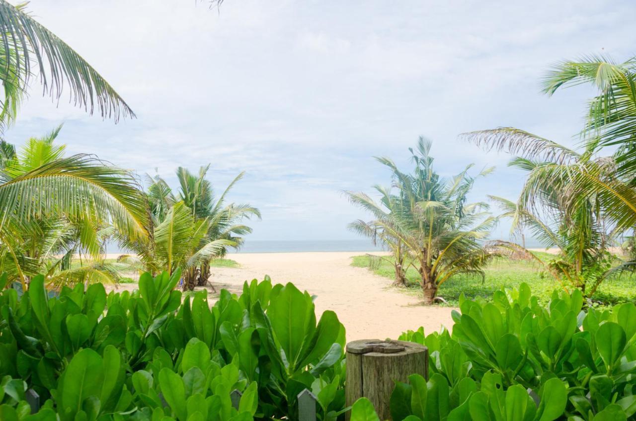 Zendara Hotel Negombo Extérieur photo